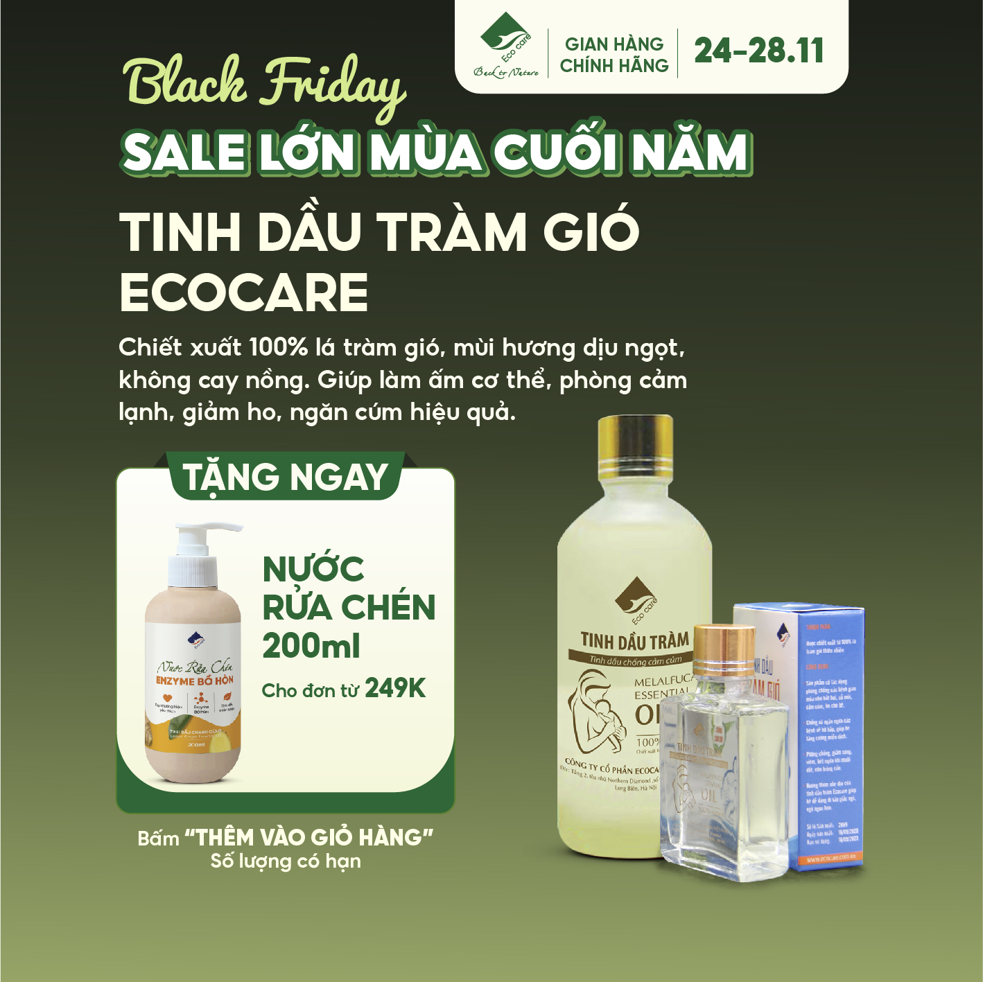Tinh dầu tràm gió