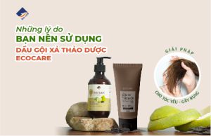 Những lý do nên sử dụn dầu gội thảo dược Ecocare