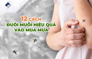 12 cách đuổi muỗi hiệu quả vào mùa mưa