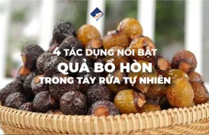 4 công dụng của quả bồ hòn trong tẩy rửa tự nhiên