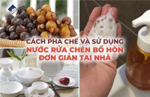 Cách pha chế và sử dụng nước rửa chén bồ hòn đơn giản tại nhà