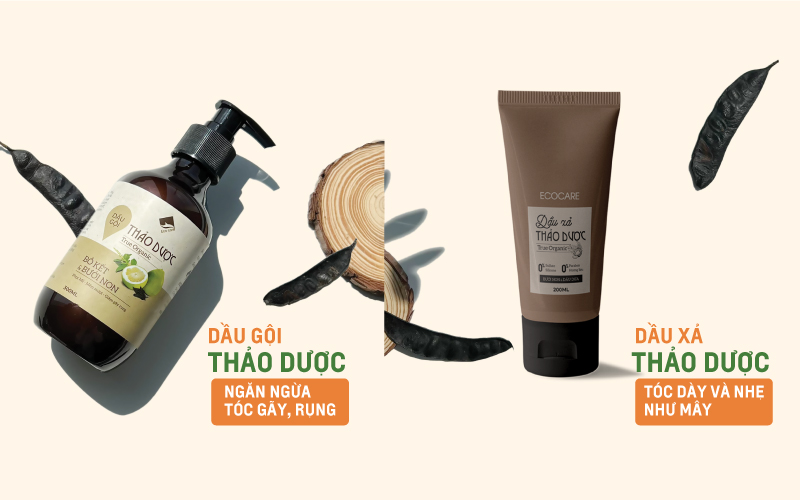 dầu gội bồ kết Ecocare