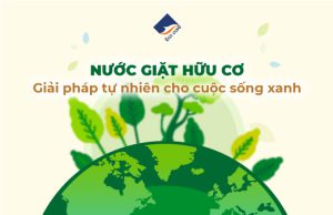 Nước giặt hữu cơ: Giải pháp tự nhiên cho cuộc sống xanh