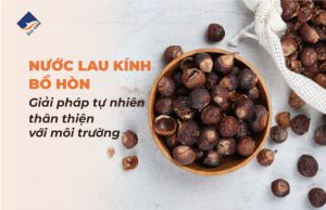 Nước lau kính bồ hòn - Giải pháp tự nhiên, thân thiện với môi trường