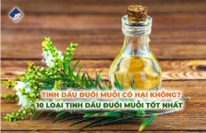 Tinh dầu đuổi muỗi có hại không? 10 loại tinh dầu đuổi muỗi tốt nhất