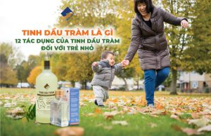 Tinh dầu tràm là gì? 12 tác dụng của tinh dầu tràm đối với trẻ nhỏ