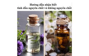 phân biệt tinh dầu tự nhiên chuẩn