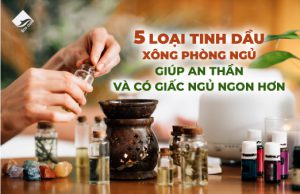 5 Loại Tinh Dầu Xông Phòng Ngủ Giúp An Thần Và Có Giấc Ngủ Ngon Hơn