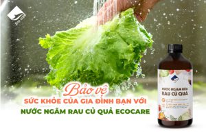 Bảo vệ sức khỏe của gia đình bạn với nước ngâm rau củ quả Ecocare