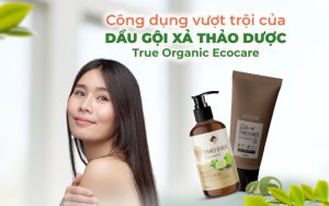 Công dụng vượt trội của dầu gội xả thảo dược True Organic Ecocare