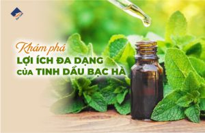 Khám phá lợi ích đa dạng của tinh dầu bạc hà