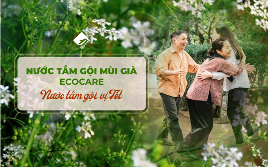 Nước tắm gội mùi già Ecocare - Nước tắm gội vị Tết