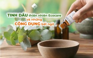 Tinh dầu thiên nhiên Ecocare và những công dụng bất ngờ