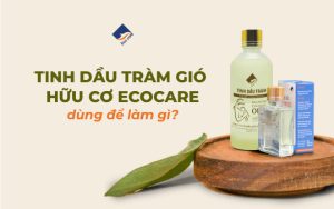 Tinh dầu tràm gió hữu cơ Ecocare dùng để làm gì?