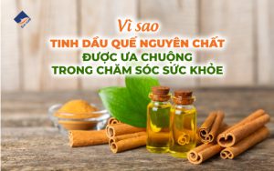 Vì sao tinh dầu quế nguyên chất được ưa chuộng trong chăm sóc sức khỏe