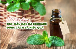 Cách sử dụng tinh dầu bạc hà Ecocare đúng cách và hiệu quả