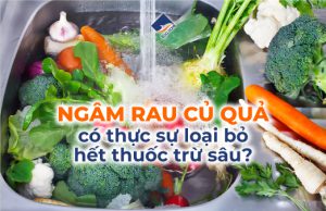 Ngâm rau củ quả có thực sự loại bỏ hết thuốc trừ sâu?