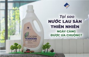 Tại sao nước lau sàn thiên nhiên ngày càng được ưa chuộng?