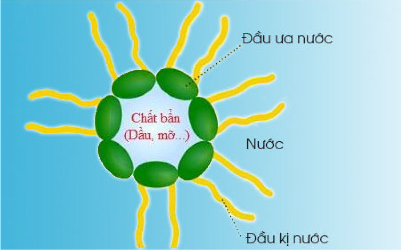 Chất hoạt động bề mặt (Surfactants)