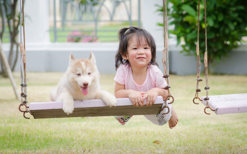 Đảm Bảo An Toàn Cho Trẻ Nhỏ Và Vật Nuôi Trong Nhà