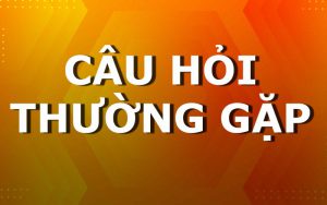 Các câu hỏi thường gặp 