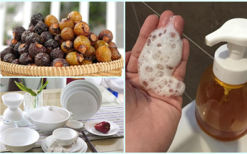 Xu hướng 1: Enzyme bồ hòn thay thế nước rửa chén hóa học