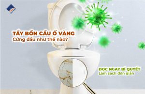 Tẩy Bồn Cầu Ố Vàng, Cứng Đầu Như Thế Nào? Đọc Ngay Bí Quyết Làm Sạch Đơn Giản