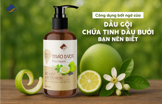 Công dụng bất ngờ của dầu gội chứa tinh dầu bưởi bạn nên biết