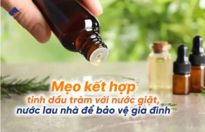 Mẹo kết hợp tinh dầu tràm với nước giặt, nước lau nhà để bảo vệ gia đình
