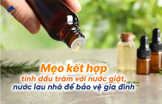 Mẹo kết hợp tinh dầu tràm với nước giặt, nước lau nhà để bảo vệ gia đình
