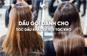 Dầu gội dành cho tóc dầu khác gì với tóc khô?