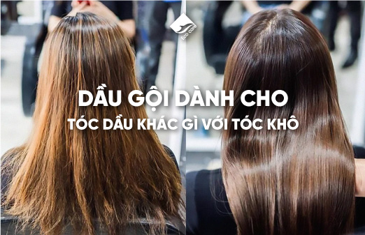 Dầu gội dành cho tóc dầu khác gì với tóc khô?