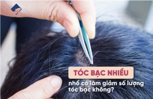Tóc bạc nhiều nhổ có làm giảm số lượng tóc bạc không?
