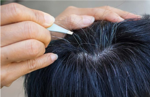 Nhổ tóc bạc