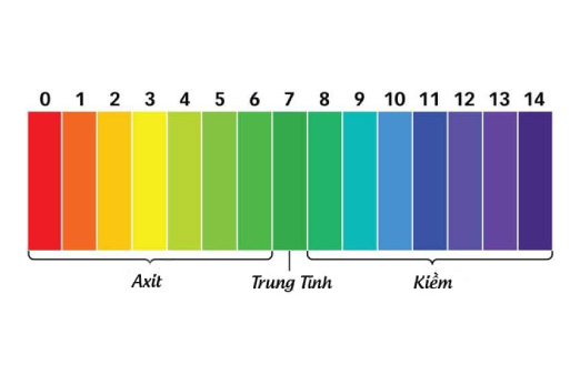 Đọ pH trong nước giặt ảnh hưởng đến em bé