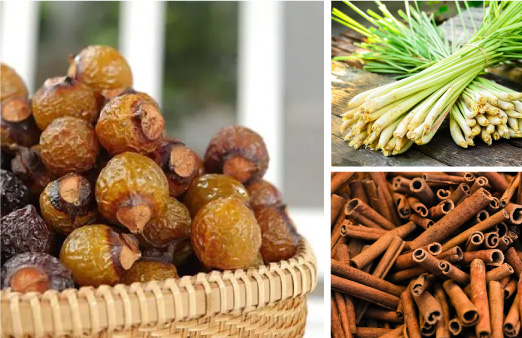Enzyme bồ hòn và tinh dầu thiên nhiên