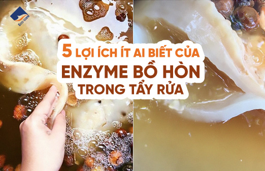 5 Lợi ích ít ai biết của enzyme bồ hòn trong tẩy rửa