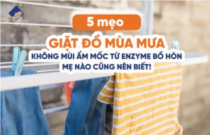 5 mẹo giặt đồ mùa mưa không mùi ẩm mốc từ enzyme bồ hòn mẹ nào cũng nên biết