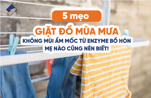5 mẹo giặt đồ mùa mưa không mùi ẩm mốc từ enzyme bồ hòn mẹ nào cũng nên biết