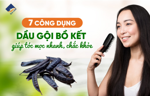 7 công dụng dầu gội bồ kết giúp tóc mọc nhanh chắc khỏe