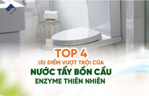 top 4 ưu điểm vượt trội của nước tẩy bồn cầu enzyme thiên nhiên