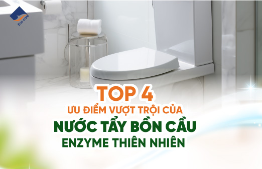 top 4 ưu điểm vượt trội của nước tẩy bồn cầu enzyme thiên nhiên