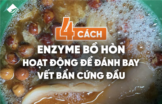 4 cách enzyme bồ hòn hoạt động để đánh bay vết bẩn cứng đầu