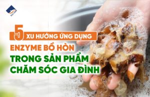 5 xu hướng ứng dụng enzyme bồ hòn trong sản phẩm chăm sóc gia đình