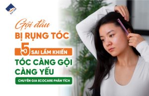 Gội đầu bị rụng tóc – 5 sai lầm khiến tóc càng gội càng yếu, chuyên gia Ecocare phân tích