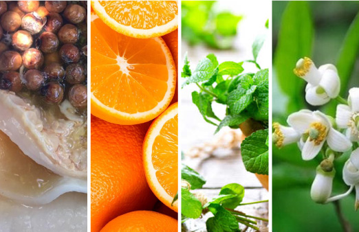 Hương tinh dầu tự nhiên không chỉ thơm mà còn kháng khuẩn