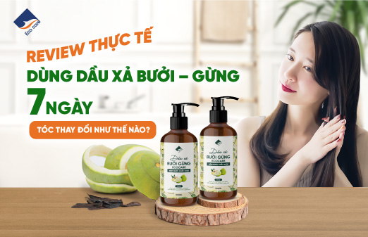 Review thực tế dùng dầu xả bưởi gừng 7 ngày tóc thay đổi như thế nào