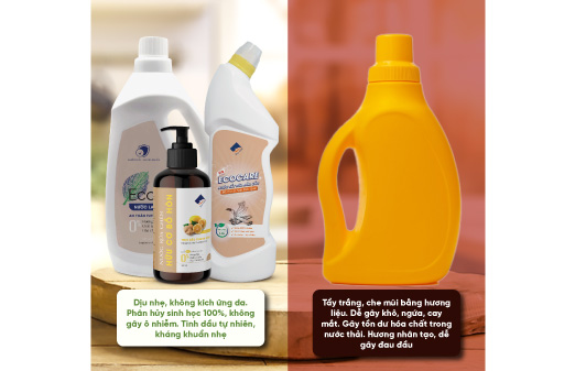 sự khác biệt giữ enzyme bồ hòn và hóa chất tẩy rửa