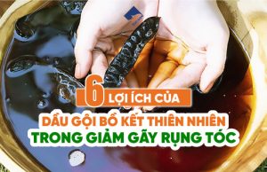 6 lợi ích của dầu gội bồ kết thiên nhiên trong giảm gãy rụng tóc