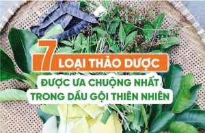 7 loại thảo dược ưa chuộng nhất trong dầu gội thiên nhiên